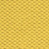 daffodil_141_tb