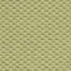 lime_124_tb
