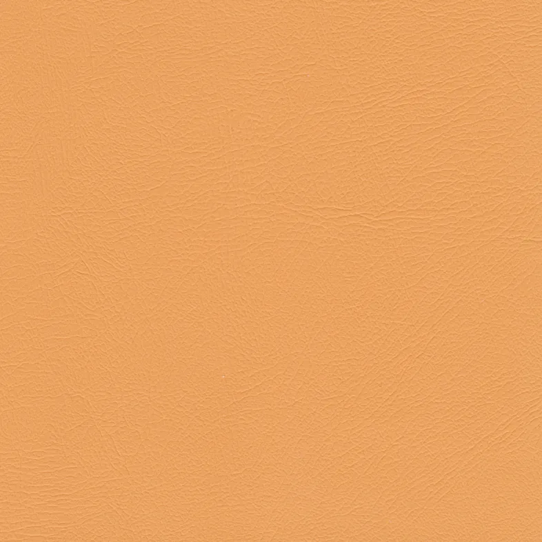 studio_encore_sorbet_1